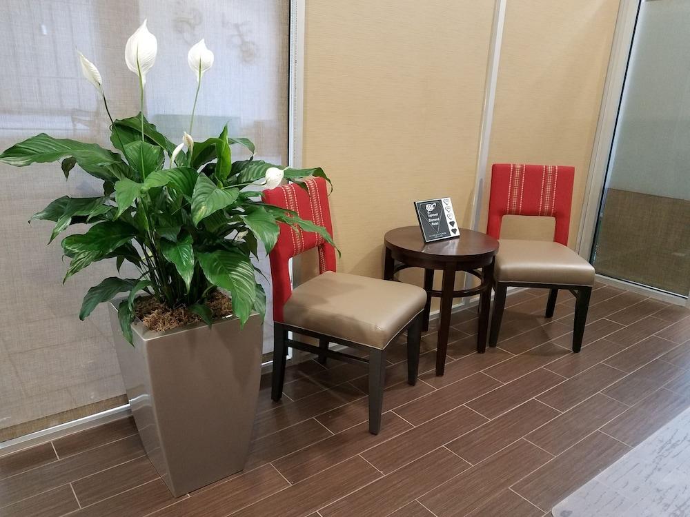 Comfort Downtown Inn
