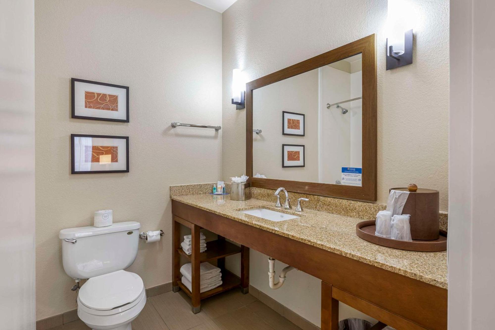 Comfort Downtown Inn Memphis